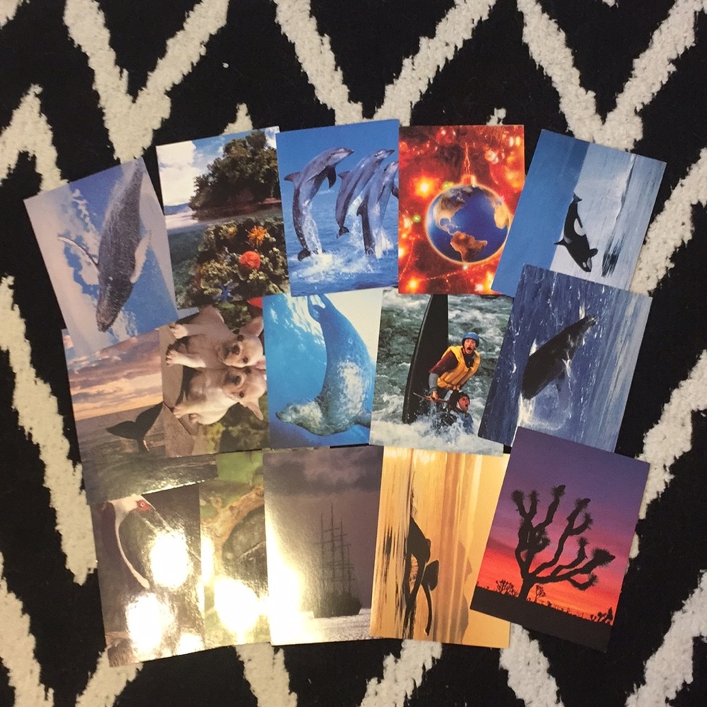 Nature Greeting Cards